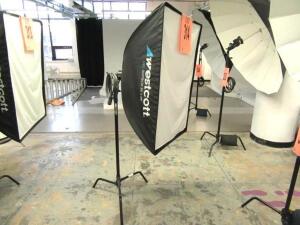 PROFOTO ACUTE D4 HEADLIGHT W/ WESTCOTT PRO SOFTBOX 36"x48" PLUS AVENGER BLK STAND, 2 RISERS