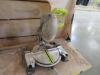 RYOBI MITER SAW MODEL: TS1345L ( 4650 OAKLEYS LN HENRICO, VA 23231) - 2