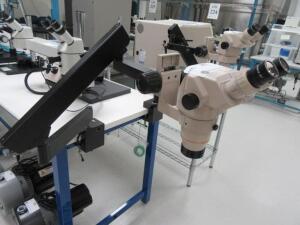 OLYMPUS SZ60 SCOPE WITH 10X EYES AND MICROSCOPE FLEX ARM