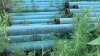 LOT OF ASSTD PIPE: APROX: 20FT, 40FT, 10FT, 22FT, 21FT(APROX 250 PIPES) (APROX 68 TONS) (LOCATION: Jourdanton, TX) - 12