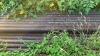 LOT OF ASSTD PIPE: APROX: 20FT, 40FT, 10FT, 22FT, 21FT(APROX 250 PIPES) (APROX 68 TONS) (LOCATION: Jourdanton, TX) - 16