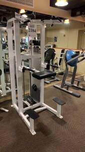 LIFE FITNESS ASSISTED DIP /CHIN MACHINE (LOCATION: FITNESS CENTER)