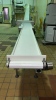 (5) SECTIONS OF STAINLESS STEEL POWERED CONVEYOR WITH PLASTIC CHAIN (COOKING AREA) - 2