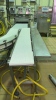 (5) SECTIONS OF STAINLESS STEEL POWERED CONVEYOR WITH PLASTIC CHAIN (COOKING AREA) - 5