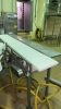 (5) SECTIONS OF STAINLESS STEEL POWERED CONVEYOR WITH PLASTIC CHAIN (COOKING AREA) - 6