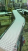 (5) SECTIONS OF STAINLESS STEEL POWERED CONVEYOR WITH PLASTIC CHAIN (COOKING AREA) - 11