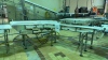 (5) SECTIONS OF STAINLESS STEEL POWERED CONVEYOR WITH PLASTIC CHAIN (COOKING AREA) - 13
