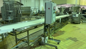 STAINLESS STEEL POWERED CONVEYOR APPROX.: 388" X 44" X 36" WITH DUAL 12" PLASTIC CHAIN, (2) MOTORS, CONTROL PANEL AND BUILT IN CHAIN WASH STATION (COOKING AREA)