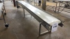 ARROWHEAD STAINLESS STEEL POWERED CONVEYOR APPROX.: 218" X 25" WITH 17" BELT (MEAT CUTTING AREA) - 5