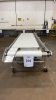 LAUGHLIN STAINLESS STEEL POWERED CONVEYOR APPROX.: 151" X 44" WITH 28" BELT (MEAT CUTTING AREA) - 2