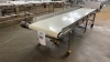 LAUGHLIN STAINLESS STEEL POWERED CONVEYOR APPROX.: 151" X 44" WITH 28" BELT (MEAT CUTTING AREA) - 4