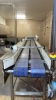 2001 BABBCO DIRECT FIRED TUNNEL OVEN, 130"W X 80L, 2,420,000-BTU/HR, WITH 130" X 80"L PLASTIC LINK ENTRY CONVEYOR, (2) BABBCO CONTROL PANELS (BAKERY 1) - 19