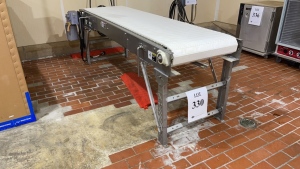 STAINLESS STEEL POWERED CONVEYOR APPROX.: 102" X 39" WITH 24" PLASTIC CHAIN (FISH ROOM)
