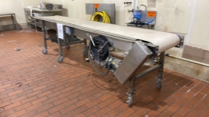 STAINLESS STEEL POWERED CONVEYOR APPROX.: 143" X 31" WITH 20" BELT (FISH ROOM)