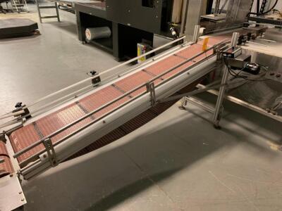 6' x 12" powered conveyor. Adjustable height. Dayton DC speed controller<br><br />